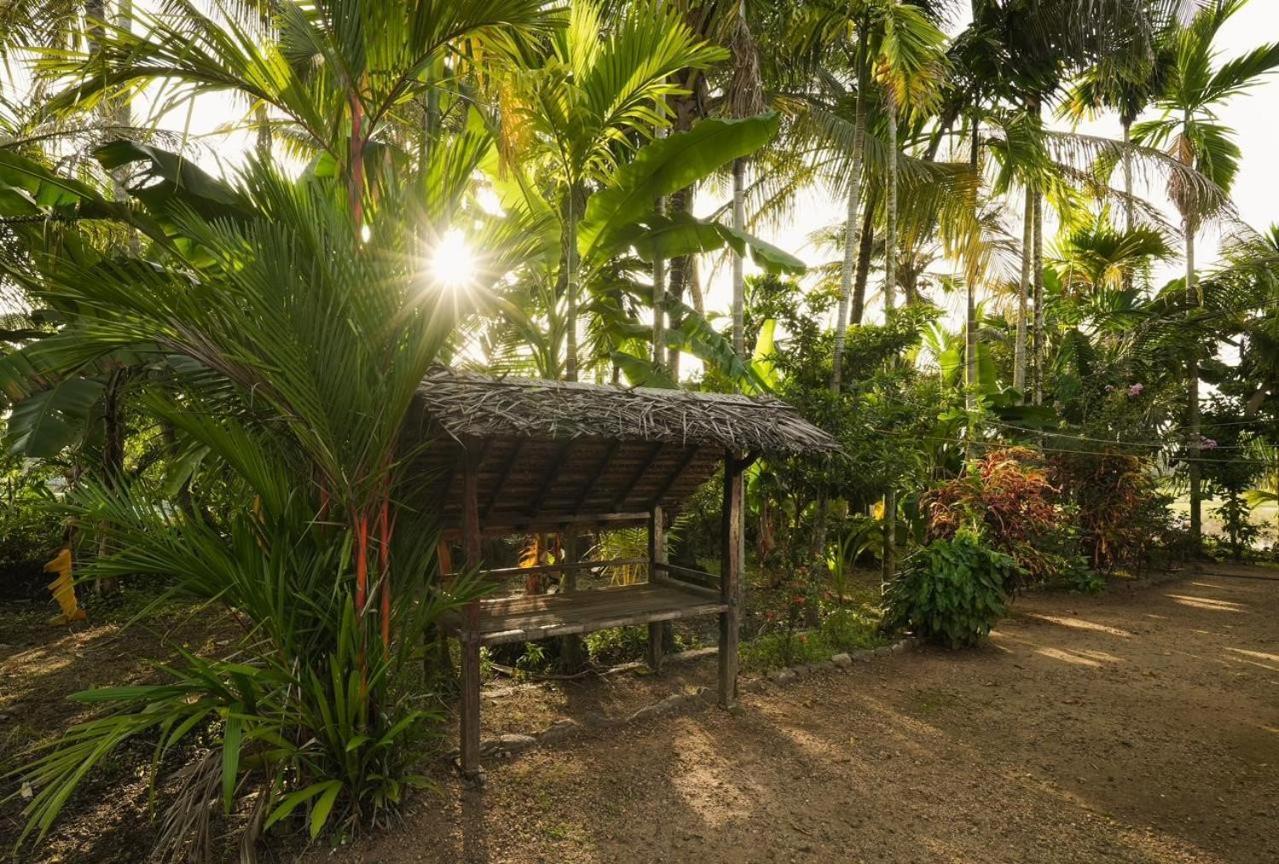 Cocozone Stays Alappuzha Екстер'єр фото